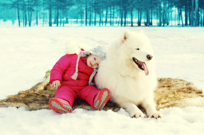 Обои картинки фото разное, настроения, девочка, собака, шкура, снег