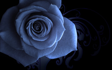 Картинка цветы розы голубая узорный фон заставка