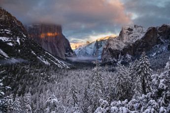 Картинка yosemite national park california природа горы сьерра-невада долина йосемити зима лес sierra nevada