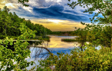 Картинка природа реки озера лето листва ветки река лес