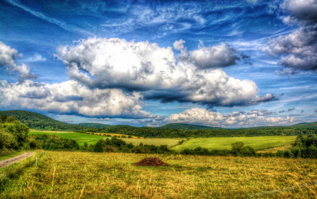 Обои картинки фото природа, поля, облака, лес, трава, холмы, дорога, поле