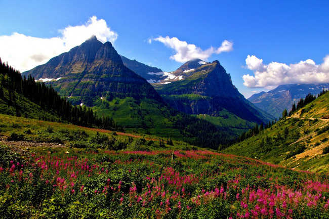 Обои картинки фото mt, oberlin, and, cannon, glacier, national, park, montana, природа, горы, mount, луг, гора, оберлин, глейшер, кэннон