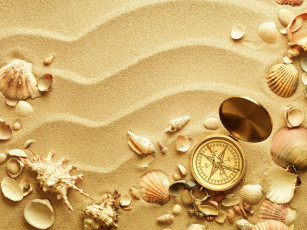 обоя разное, ракушки,  кораллы,  декоративные и spa-камни, песок, компас