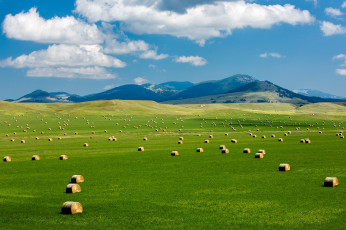 Картинка природа поля зелень круглые тюки облака сено поле небо