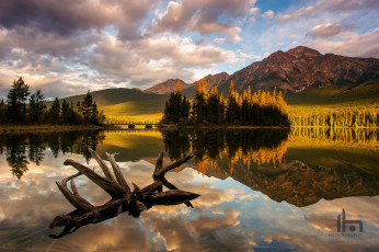 Картинка природа реки озера канада альберта горы национальный парк джаспер pyramid lake утро озеро лес коряга свет