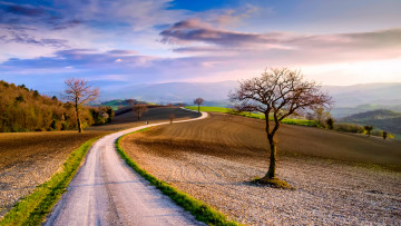 Картинка природа дороги облака поля италия небо деревья дорога март весна