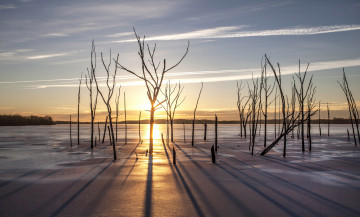 Картинка природа восходы закаты деревья лёд снег озеро солнце зима