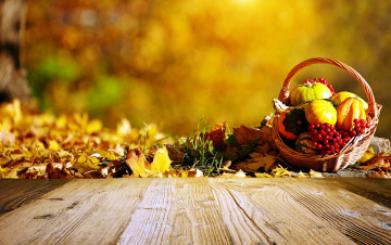обоя еда, тыква, осень, корзинка, листья