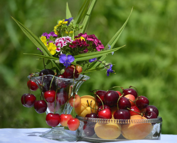 Обои картинки фото еда, фрукты,  ягоды, черешня, абрикосы, цветы