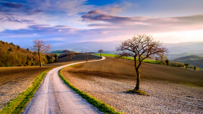 Обои картинки фото природа, дороги, облака, поля, италия, небо, деревья, дорога, март, весна