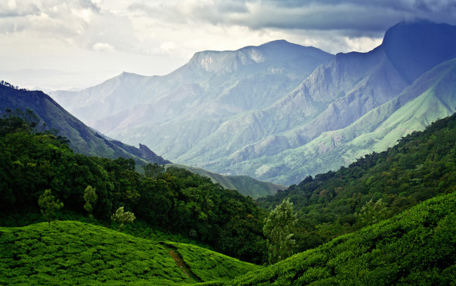 Обои картинки фото природа, горы, небо, чайные, плантации, индия, муннар