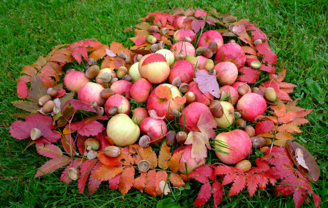 Обои картинки фото еда, Яблоки, листья, сердце