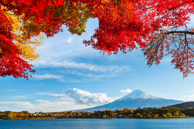 Обои картинки фото природа, пейзажи, облака, небо, озеро, деревья, гора, осень, фудзияма, япония, листья, снег