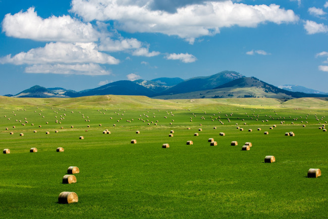Обои картинки фото природа, поля, зелень, круглые, тюки, облака, сено, поле, небо