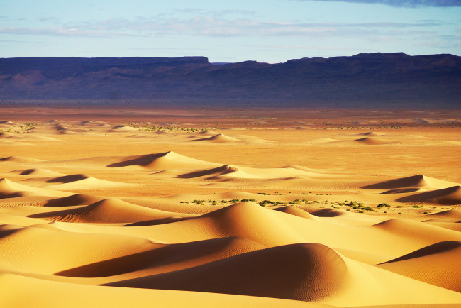 Обои картинки фото природа, пустыни, небо, холмы, песок, текстура, барханы, дюны, пустыня