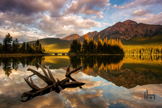 Обои картинки фото природа, реки, озера, канада, альберта, горы, национальный, парк, джаспер, pyramid, lake, утро, озеро, лес, коряга, свет