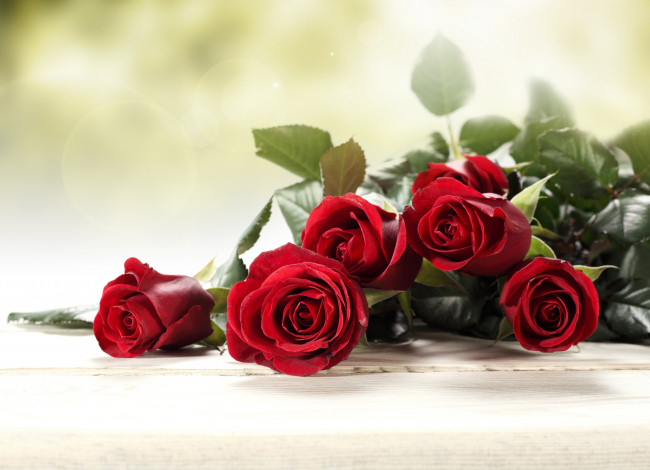 Обои картинки фото цветы, розы, бутоны, листва, букет