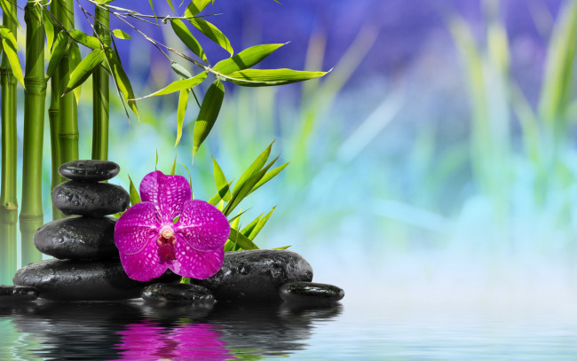 Обои картинки фото разное, ракушки,  кораллы,  декоративные и spa-камни, spa, zen, stones, bamboo, flower, orchid, water, reflection, вода, камни, бамбук, цветок