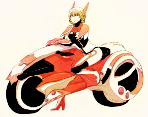 обоя аниме, tiger and bunny, девушка, мотоцикл, кролик