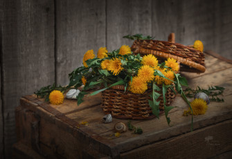 Картинка цветы одуванчики желтые корзина букет