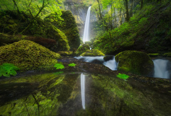 Картинка природа водопады водопад деревья водоём лес