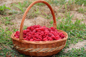 Картинка еда малина красота лето дача вкусно витамины ягоды