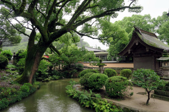 Картинка природа парк сад японский