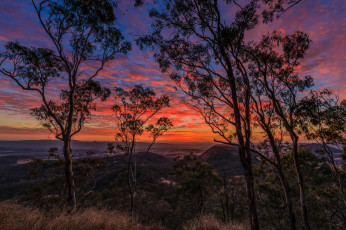 Картинка природа восходы закаты восход деревья небо утро вид рассвет