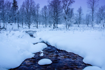 Картинка природа зима речка сугробы деревья снег