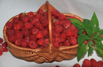 Картинка еда малина ягоды польза варенье