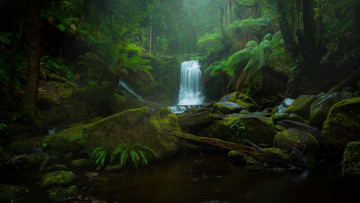 Картинка природа водопады лес деревья водопад река horseshoe falls