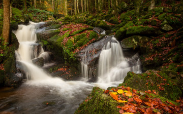 Картинка природа водопады ручей камни осень лес листья деревья