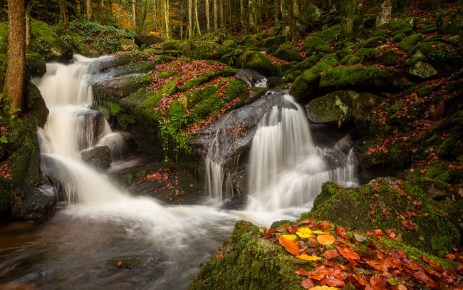 Обои картинки фото природа, водопады, ручей, камни, осень, лес, листья, деревья