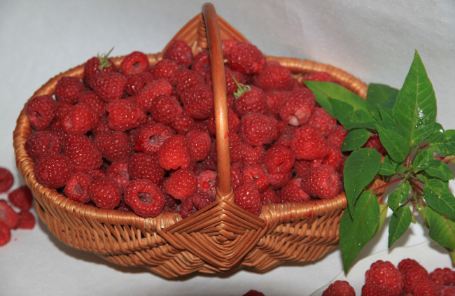 Обои картинки фото еда, малина, ягоды, польза, варенье