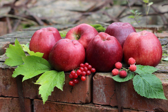 Обои картинки фото еда, Яблоки, яблоки, красные, ягода, малина, листья
