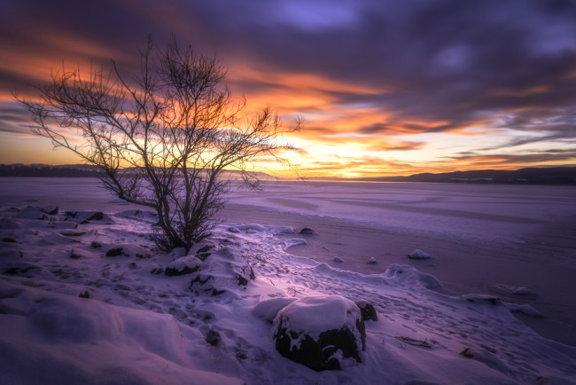 Обои картинки фото природа, восходы, закаты, закат, снег, озеро, дерево, зима