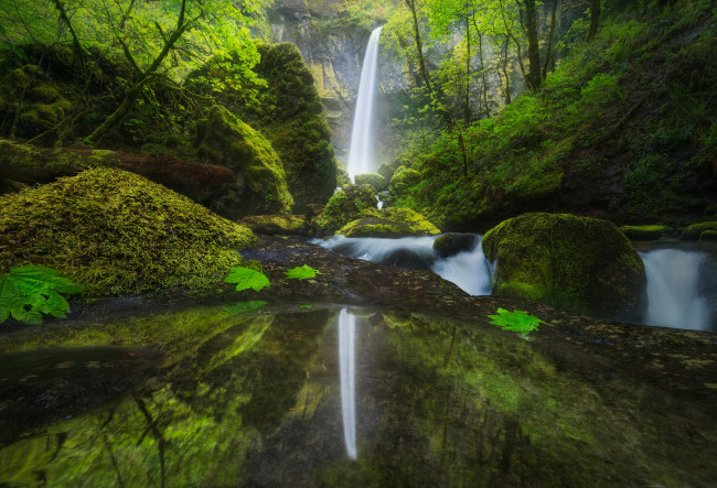 Обои картинки фото природа, водопады, водопад, деревья, водоём, лес