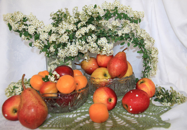 Обои картинки фото еда, фрукты,  ягоды, посуда, весна, яблоки, абрикосы, цветы, спирея, сливы, натюрморт, май, корзина, клетчатка, груши, витамины