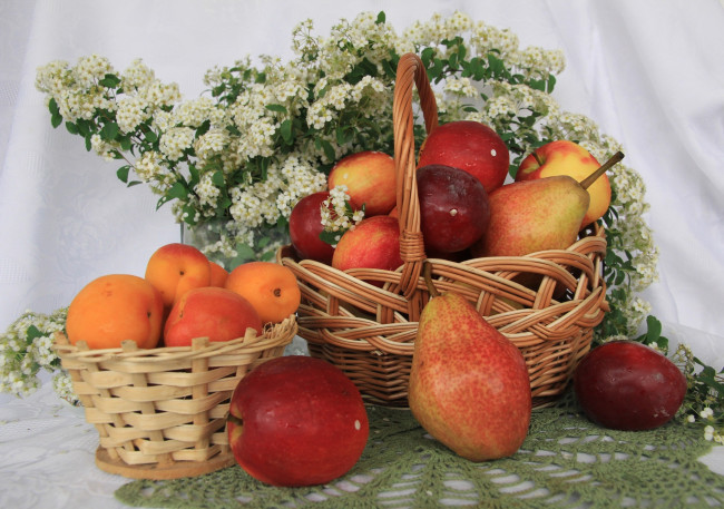 Обои картинки фото еда, фрукты,  ягоды, спирея, корзина, клетчатка, витамины, груши, сливы, польза, яблоки, весна, абрикосы, май, цветы, натюрморт