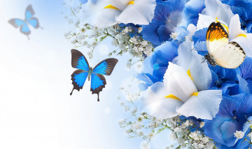 Картинка разное компьютерный+дизайн бабочки цветы