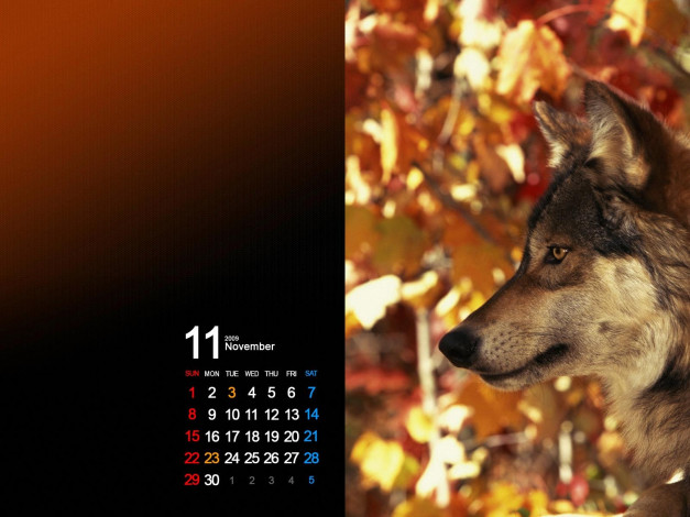 Обои картинки фото календари, животные