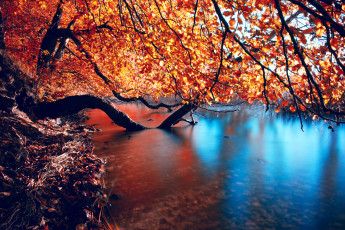 Картинка природа реки озера осень река деревья листва