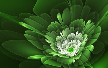 Картинка 3д графика flowers цветы зелень лепестки цветок