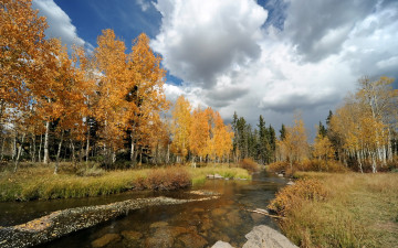 Картинка природа деревья пейзаж осень река