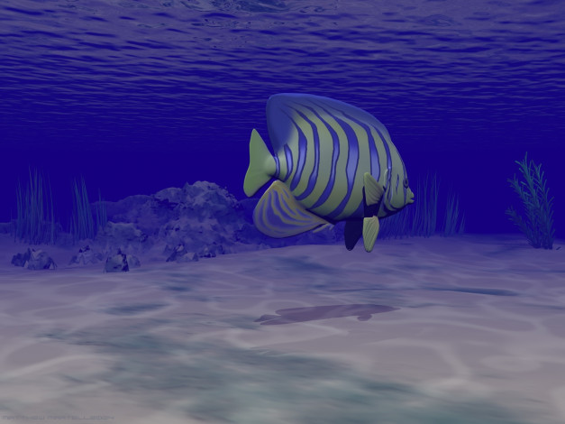 Обои картинки фото 3д, графика, sea, undersea, море, рыба