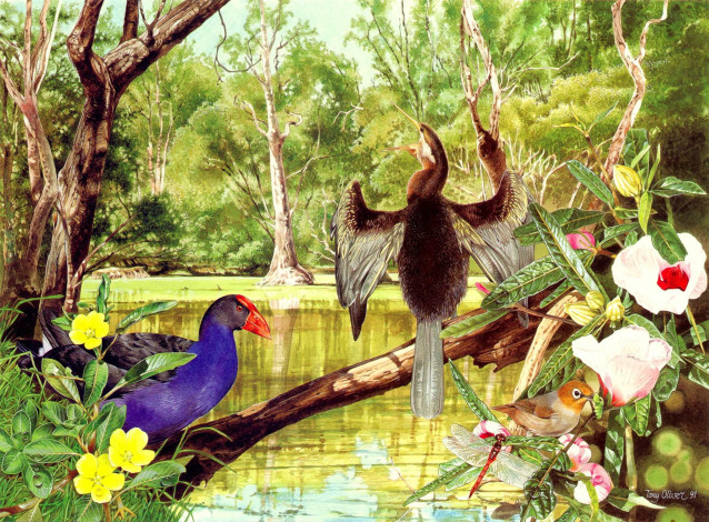 Обои картинки фото тони, оливер, рисованные, животные, птицы, цветы, стрекоза, река
