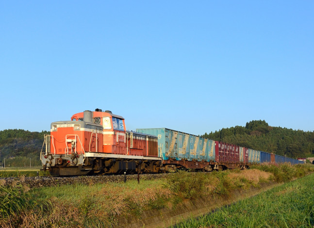 Обои картинки фото техника, поезда, поезд, лес, вагоны