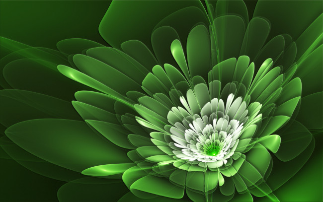 Обои картинки фото 3д, графика, flowers, цветы, зелень, лепестки, цветок