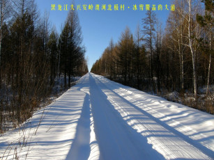 Картинка природа дороги снег дорога лес
