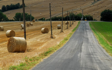 Картинка природа дороги поле дорога сено